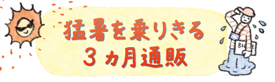 猛暑を乗り切る3ヵ月通販